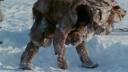 Link to: Tuktu Series, Episode 4