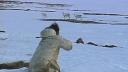 Link to: Nunavut (Our Land) Episode 2: Avaja