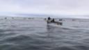Link to: 2003 Oct 2 Narwhale hunting near Igloolik part 1  2:50 