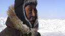 Link to: 2006 march 18 seal hunting near the floe edge part 1 2:19 