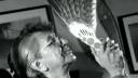 Link to: Frank Austin Manyhorses Healing
