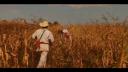 Link to: Los viajes del cantador Ch.17. Mawarixa