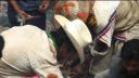 Link to: Los viajes del cantador Ch. 20 La cacería del venado II