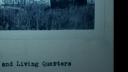 Link to: Our Spirits Don't Speak English: Indian Boarding School