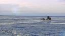 Link to: Nunavut (Our Land) Episode 7: Qulangisi (Seal Pups)