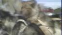 Link to: Dogteam Race