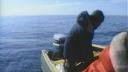 Link to: Walrus Hunter