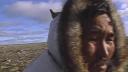 Link to: Nunavut (Our Land) Episode 8: Avamuktulik (Fish Swiming Back and Forth) 