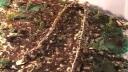 Link to: Caribou Fence