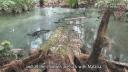 Link to: Climate Change Refugees, Carteret Islands, Papau New Guinea