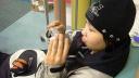 Link to: Ataguttaaluk High School Igloolik