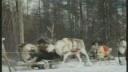 Link to: Family - clip for web