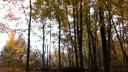 Link to: The colours of the fall in the south