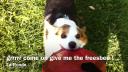 Link to: This is my friend LUKA!