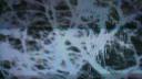 Link to: Test 9