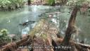 Link to: Local solutions on a sinking paradise, Carterets Islands, Papua New Guinea