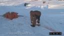 Link to: OTH0004_090508_CARD04_Part1_V