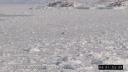 Link to: OTH004_090508_CARD04_Part1_Wildlife