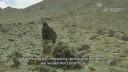 Link to: Pamiri Women &amp; the Melting Glaciers of Tajikistan