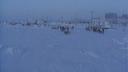 Link to: North Pole Expedition