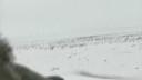 Link to: Simon Neakonoak's story / Arviat Hunt