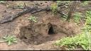 Link to: SPOT: Empresas Forestales - 1