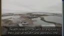 Link to: TV Show Excerpts - The 12 Community Video Clips
