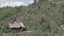 Link to: The forbidden forest of the Dayak - Borneo, Indonesia