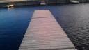 Link to: Judo and jiujitsu my dogs