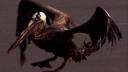 Link to: Another Exxon Oil Spill- Blackfoot Indian Reservation- Montana