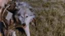 Link to: Tuktu series, Episode 12