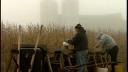 Link to: Video News from TAC, October 2012