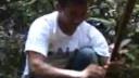 Link to: HOHODENE