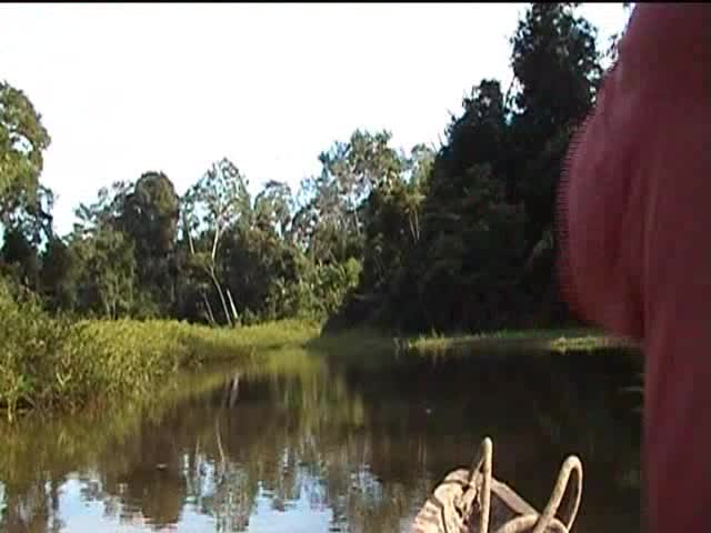 video player