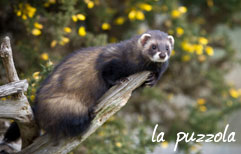 National Geographic