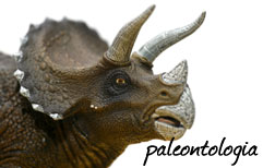 Italian Lesson - Il museo paleontologico