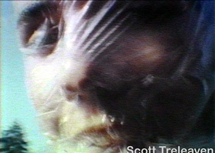 Scott