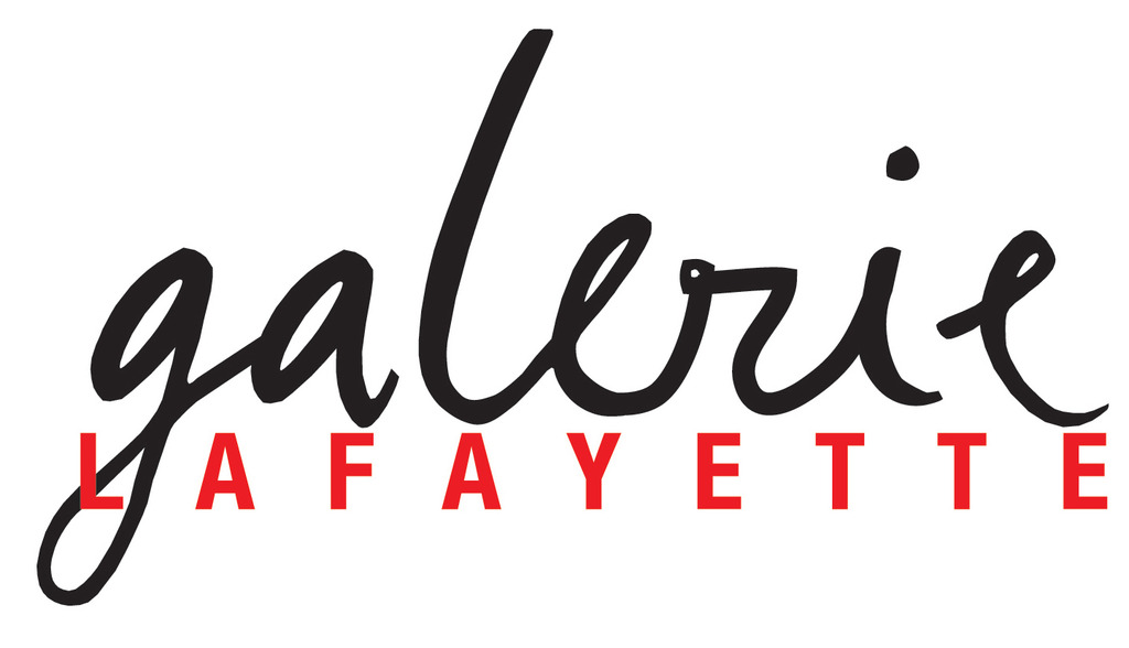 00_galerie-lafayette_2010-10_new-icon