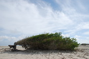 09_midasphaltarmacoat-8002_photography-by-david-waldman-09