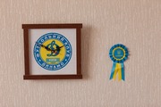 89_%d0%a0%d0%9e%d0%97%d0%92%d0%90%d0%93%d0%90-room_2011-05_photography-by-nikolay-zverkov-35