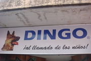 Dsc01957