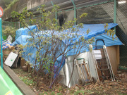 Dsc06389