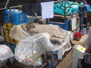 Dsc06393