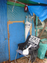 Dsc06395