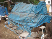 Dsc06408