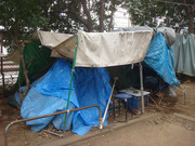 Dsc06410