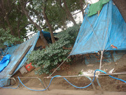 Dsc06417