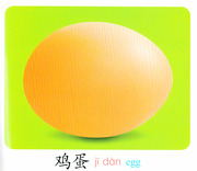 Egg