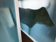 Halved-2_2008-09_photography-by-sebastian-mayer-04