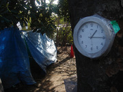 Homeless.home.17